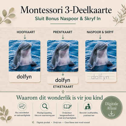 Montessori 3-Deel Kaarte Groot Bundel – Afrikaans - Onmiddellike Aflaai