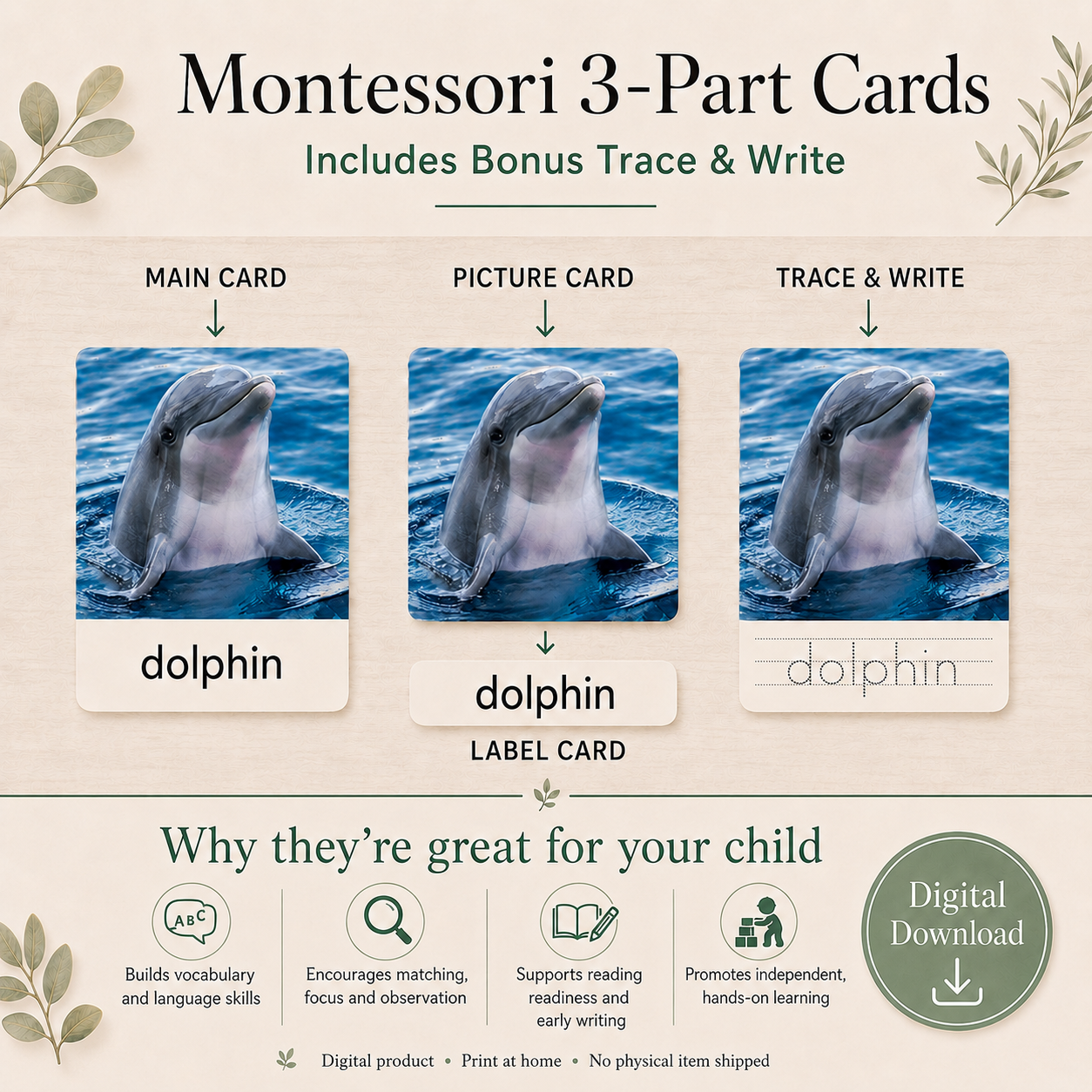 Montessori 3 Part Cards Big Bundle – English - Instant Download