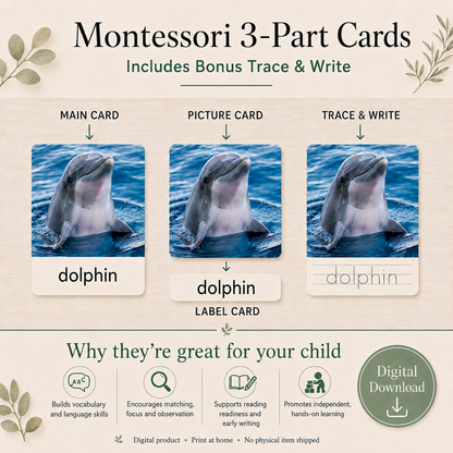Montessori 3 Part Cards Big Bundle – English - Instant Download