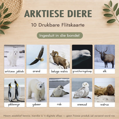Montessori 3-Deel Kaarte Groot Bundel – Afrikaans - Onmiddellike Aflaai