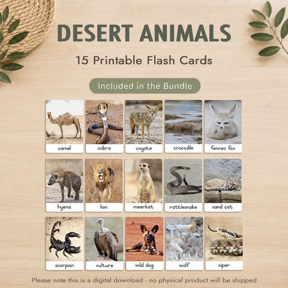 Montessori 3 Part Cards Big Bundle – English - Instant Download