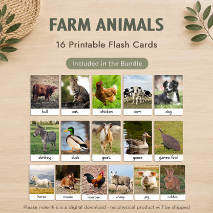 Montessori 3 Part Cards Big Bundle – English - Instant Download