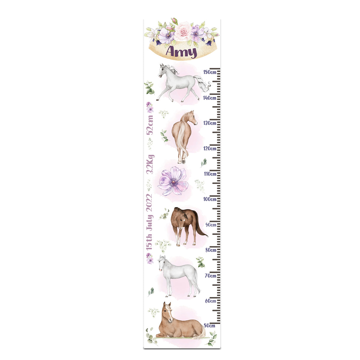 Height Chart – Horses | Growth Chart
