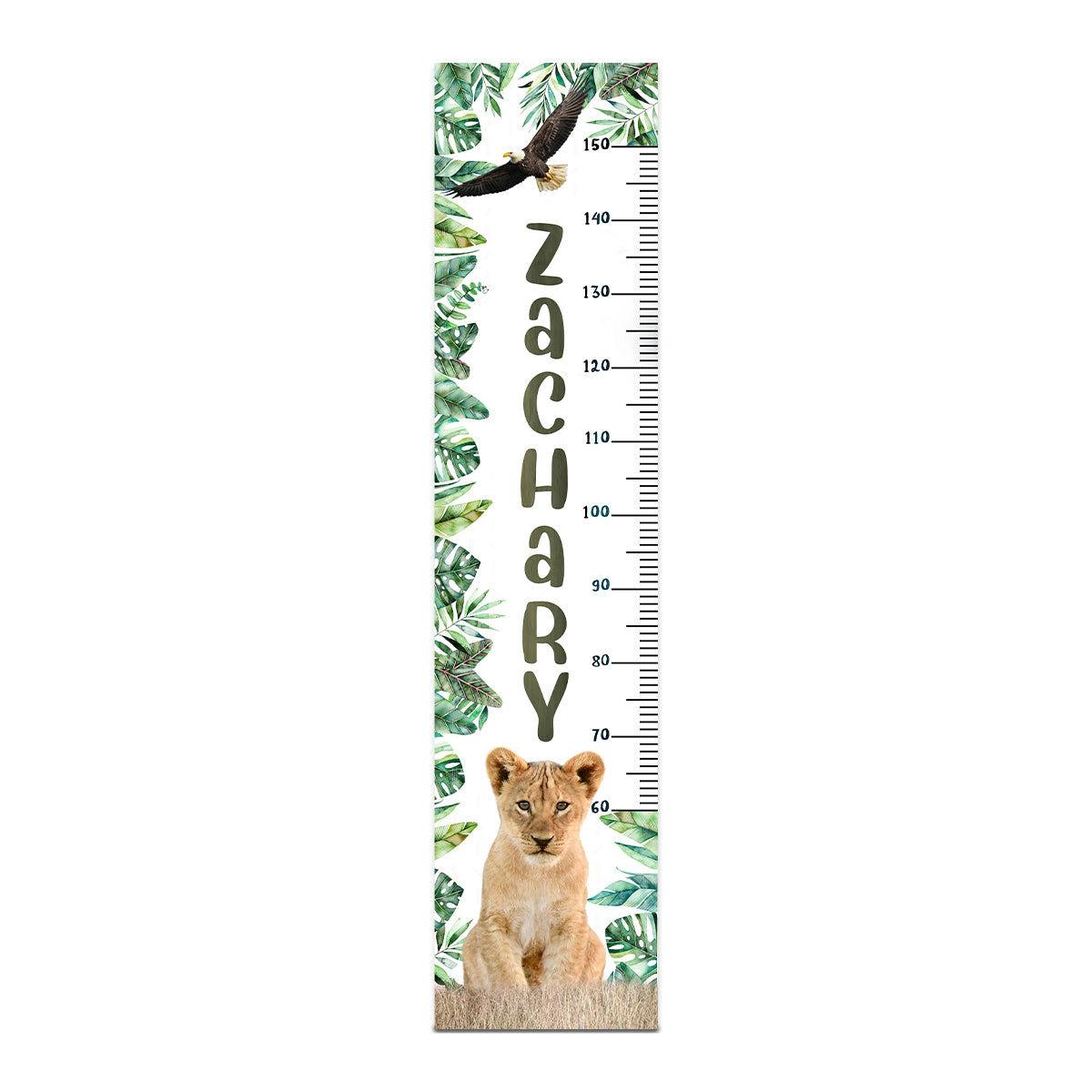 Height Chart – Lion | Growth Chart