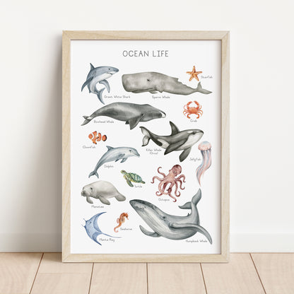 Ocean Animals - Printable Wall Art - Instant Download