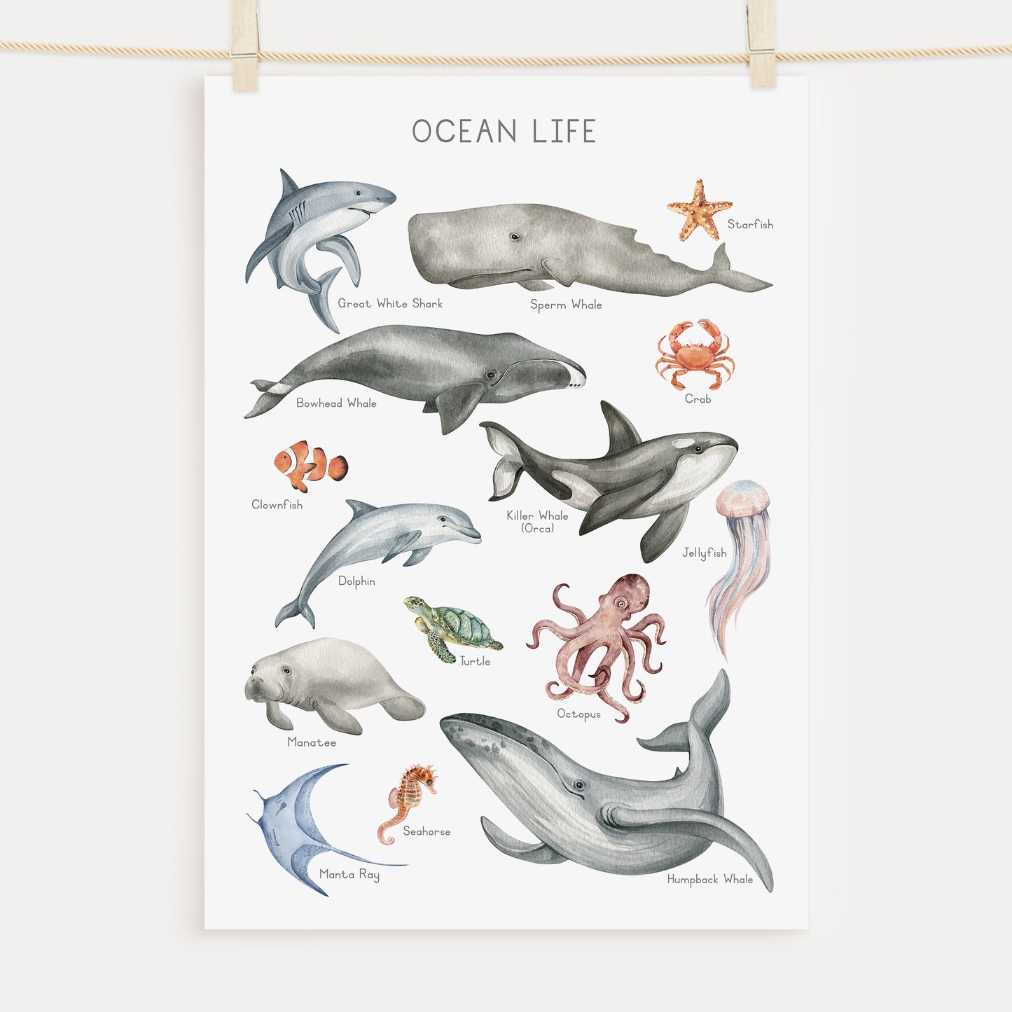 Ocean Animals - Printable Wall Art - Instant Download