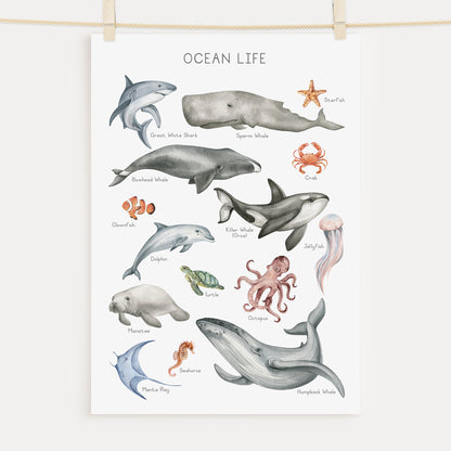 Ocean Animals - Printable Wall Art - Instant Download