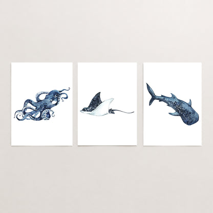 Oceania Sea Animals - Set of 3 - Printed Wall Art