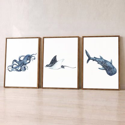 Oceania Sea Animals - Set of 3 - Printed Wall Art