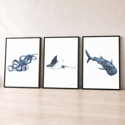 Oceania Sea Animals - Set of 3 - Printed Wall Art