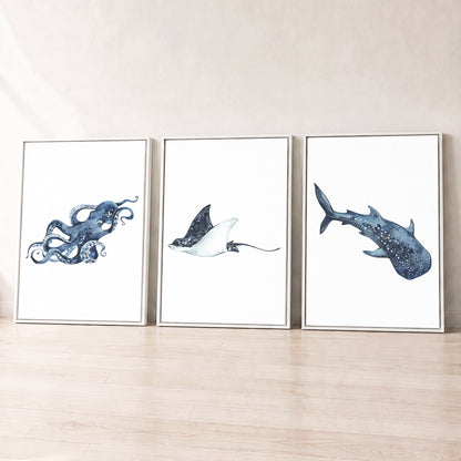 Oceania Sea Animals - Set of 3 - Printed Wall Art