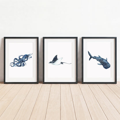 Oceania Sea Animals - Set of 3 - Printed Wall Art
