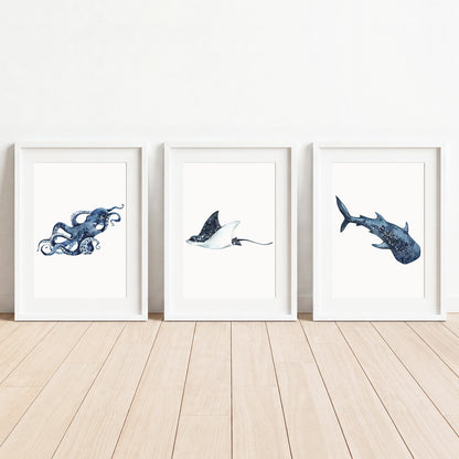 Oceania Sea Animals - Set of 3 - Printed Wall Art