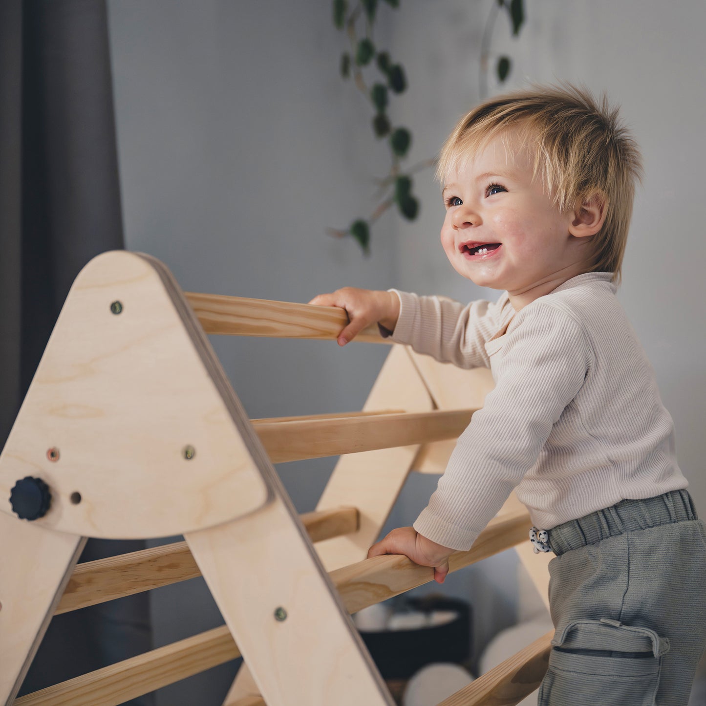 Pikler Triangle | Montessori Climbing Frame with Optional Slide