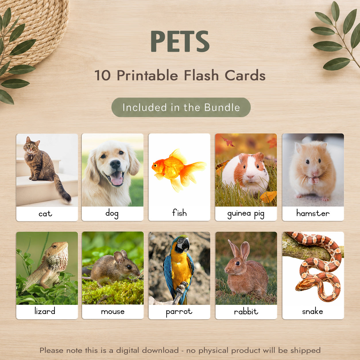 Montessori 3 Part Cards Big Bundle – English - Instant Download