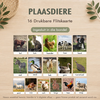 Montessori 3-Deel Kaarte Groot Bundel – Afrikaans - Onmiddellike Aflaai