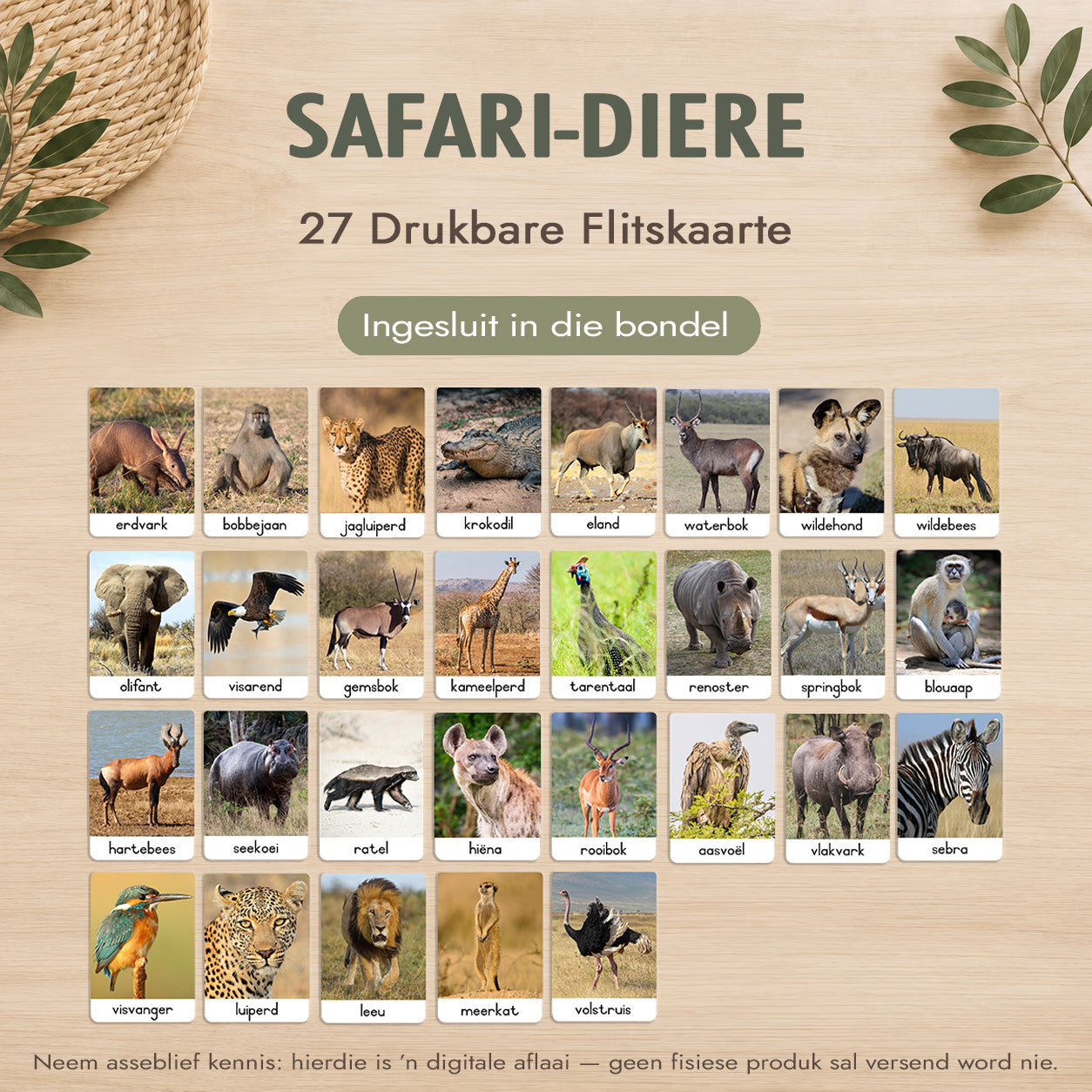 Montessori 3-Deel Kaarte Groot Bundel – Afrikaans - Onmiddellike Aflaai