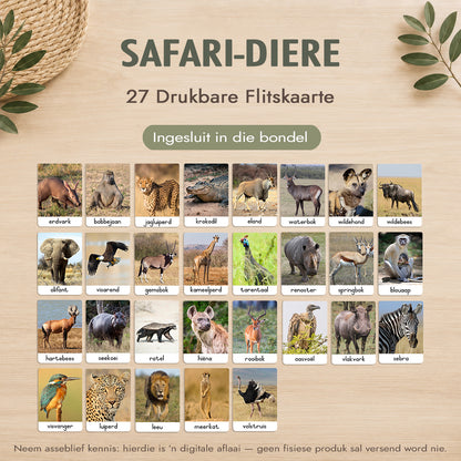 Montessori 3-Deel Kaarte Groot Bundel – Afrikaans - Onmiddellike Aflaai