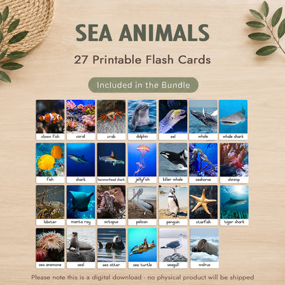 Montessori 3 Part Cards Big Bundle – English - Instant Download