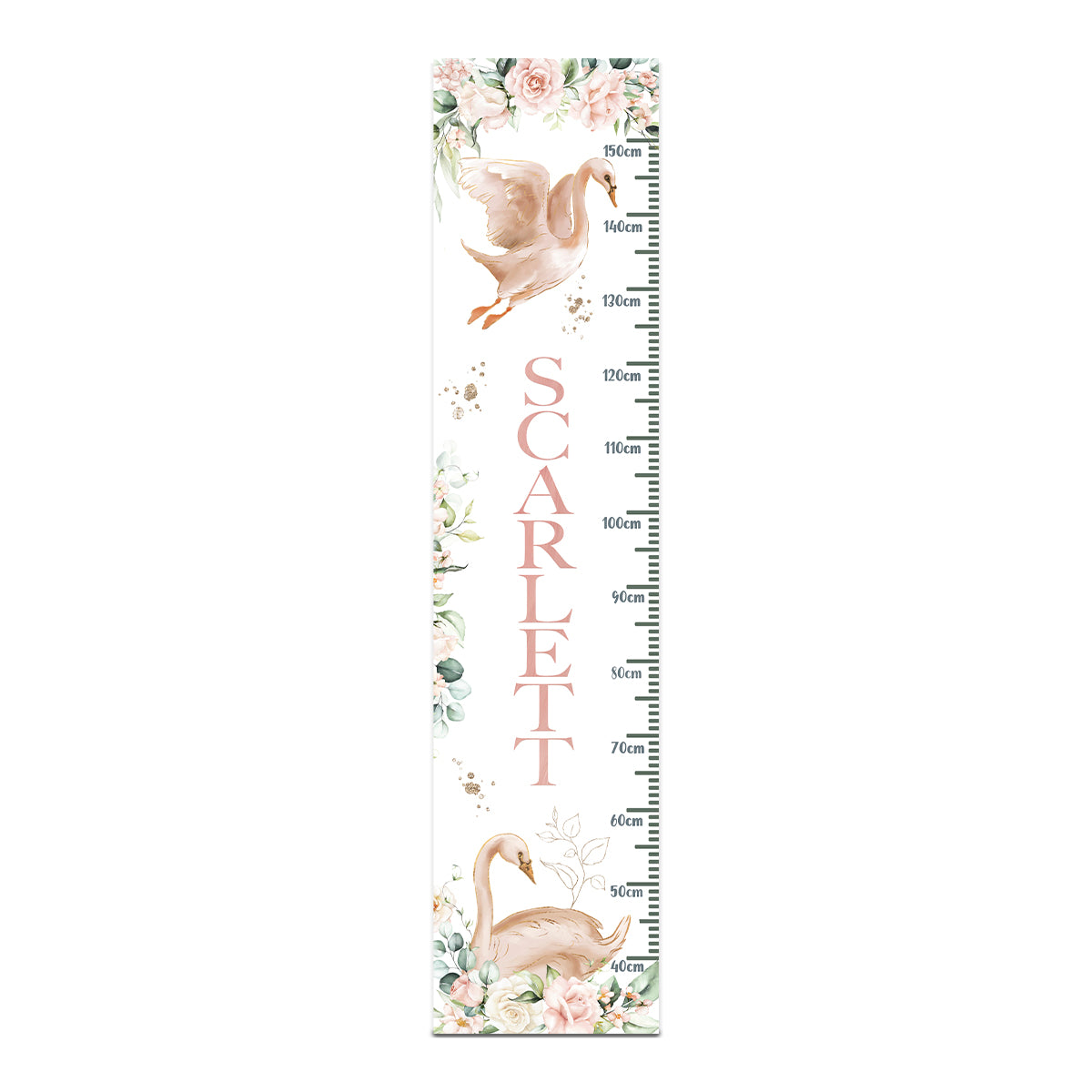 Height Chart – Swans | Growth Chart