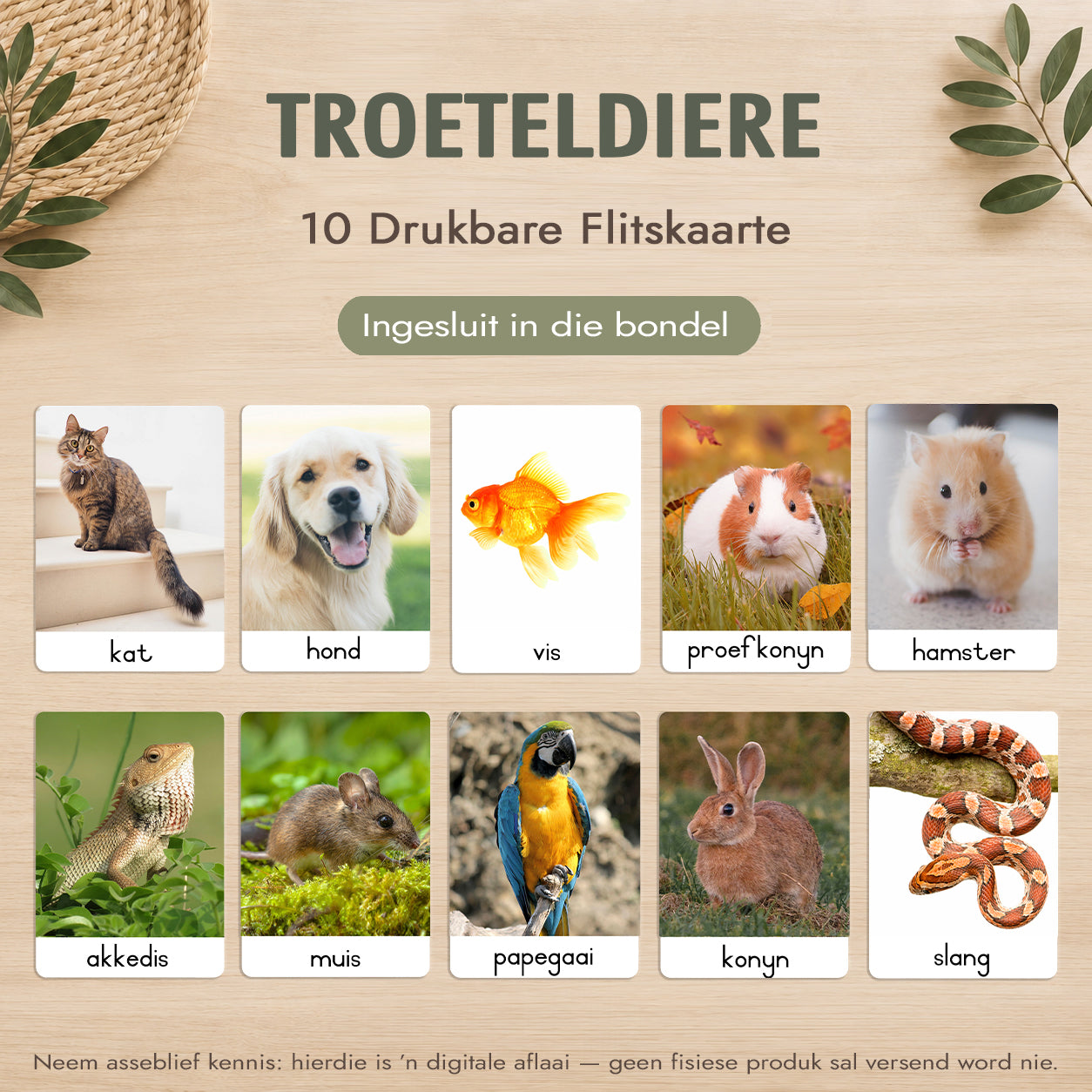 Montessori 3-Deel Kaarte Groot Bundel – Afrikaans - Onmiddellike Aflaai