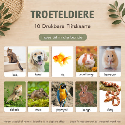 Montessori 3-Deel Kaarte Groot Bundel – Afrikaans - Onmiddellike Aflaai