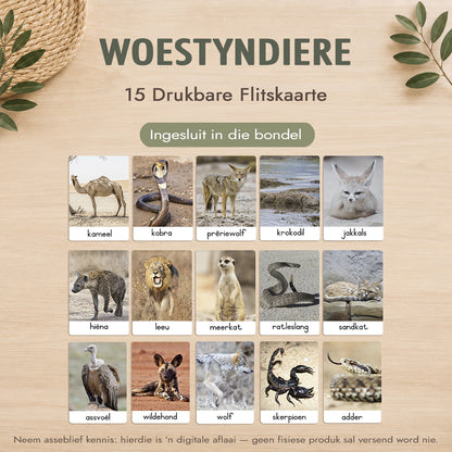 Montessori 3-Deel Kaarte Groot Bundel – Afrikaans - Onmiddellike Aflaai